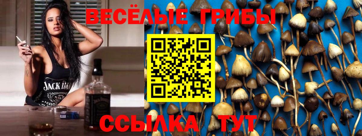 Советск  Галлюциногенные грибы GOLDEN TEACHER  Галлюциногенные грибы Psilocybine cubensis  Вход с VPN 