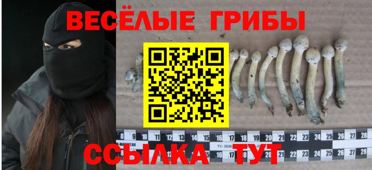 Псилоцибиновые грибы MAGIC MUSHROOMS Советск